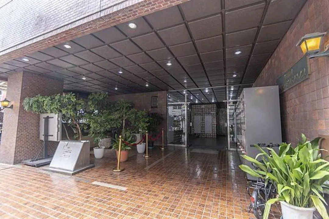 Apartment Central Shinjuku/Shinjukukicho/Jr Shinuku Station 3 Min' Walk/新宿中心 新宿歌舞伎/912 Tokyo